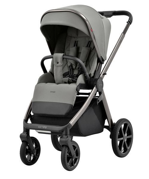 Універсальна коляска 2 в 1 Carello Omega Carello Omega фото
